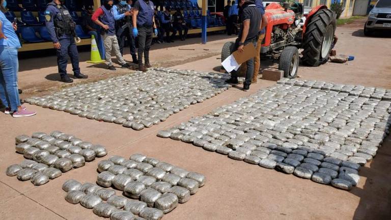 Momento en que policías descubren los paquetes conteniendo supuesta marihuana.