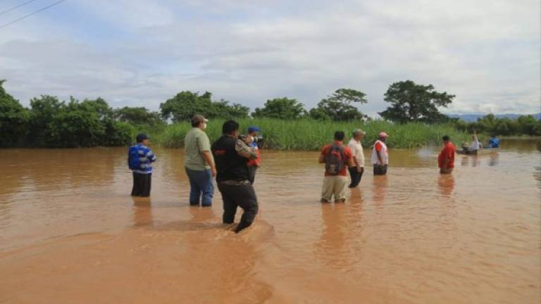 Comunidades en el Valle de Sula luchan por sobrevivir ante inundaciones por depresión tropical Eta.