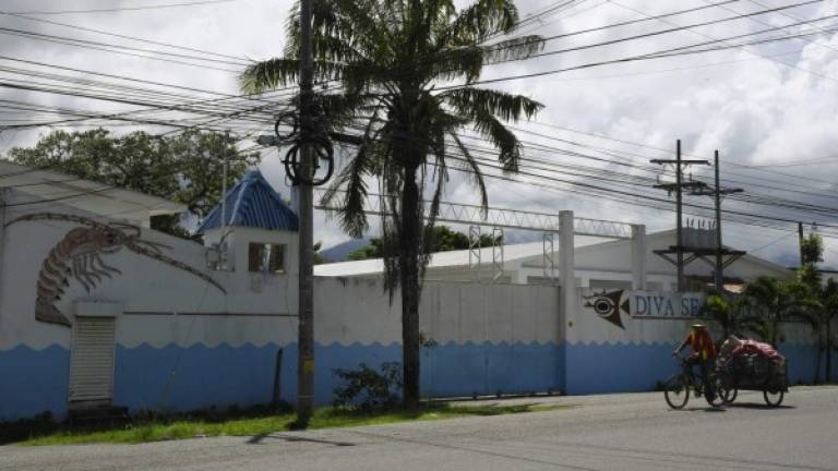 Las autoridades hondureñas le han asegurado al supuesto capo del narcotráfico 142 bienes inmuebles.
