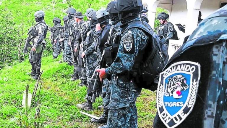 Los Tigres participaron en el operativo de captura de los hermanos Valle el pasado 5 de octubre en Copán.
