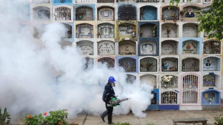 Las autoridades de salud de varios Gobiernos han tomado una serie de medidas para luchar contra el zika. Foto: AFP