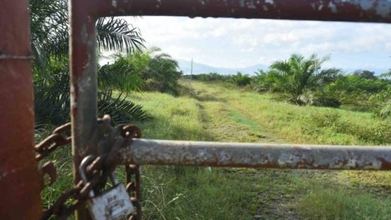 Esta es una hacienda abandonada propiedad de los hermanos Rivera Maradiaga donde cultivaban palma.