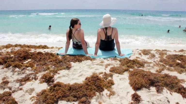 Una plaga de sargazo opaca la belleza de las paradisíaca playas del Caribe mexicano, espantando a los turistas en los destinos más populares de México.