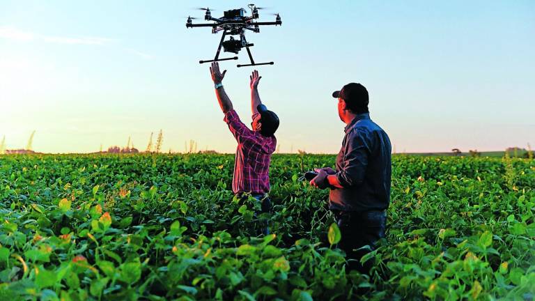 El uso de dispositivos tecnológicos como los drones, adaptados a la agricultura, permite a los productores tener un mejor control de plagas en sus cultivos.