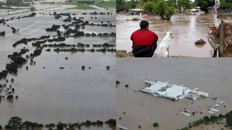 La crecida de los ríos Chamelecón y Ulúa provocó nuevas inundaciones en La Lima y El Progreso luego del paso de la tormenta tropical Iota. Fotos AFP.