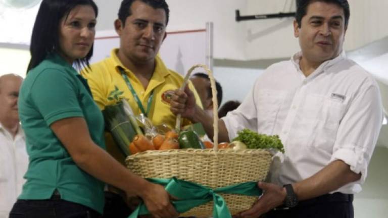 Productores nacionales dieron una muestra de vegetales al presidente Hernández.