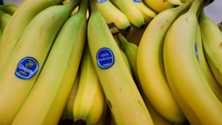 Chiquita Brands siembre sus bananos en 3,500 hectáreas en Valle de Sula, El Progreso y Santa Rita.