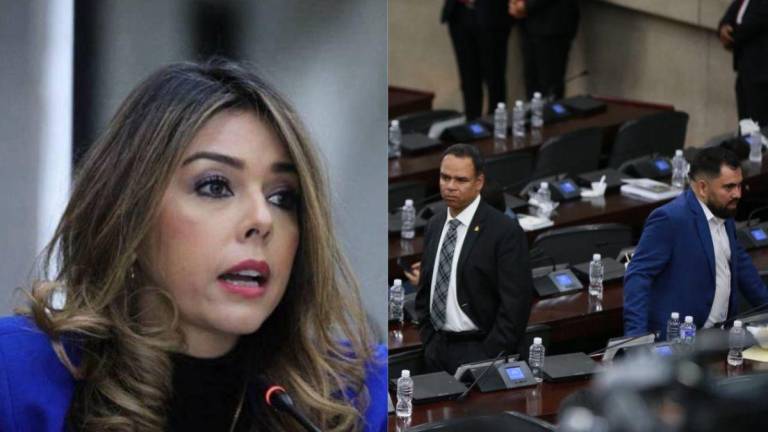 Viral en redes sociales se han vuelto las declaraciones de la diputada nacionalista María Antonieta Mejía.