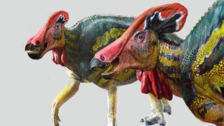 Según los investigadores, esta especie de dinosaurios era 'pacífica y conversadora'. Foto: INAHMx