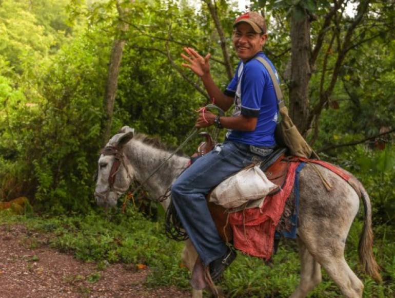 La etnia que tiene más de 150 años de existir en tierras hondureñas lucha por no desaparecer y defender su idiosincrasia y cultura que con el tiempo ha perdido brillo. Los burros son un medio de transporte común en la Montaña de la Flor.