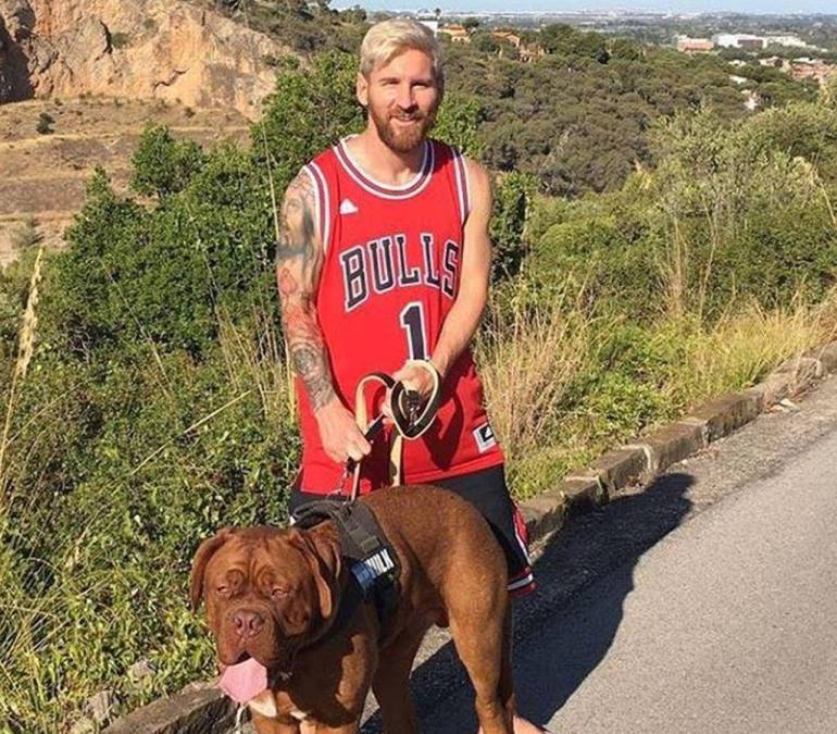 Ningún miembro de la familia Messi ha vuelto a compartir fotos con su famoso perro Hulk desde que llegaron a EUA. El delantero contó dónde está y cómo se encuentra su amigo.
