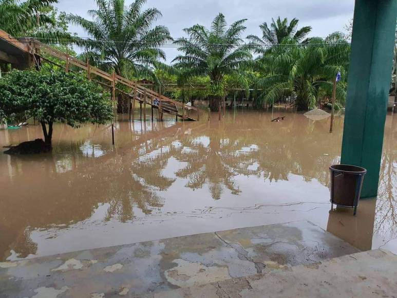 Habitantes de Urraco Pueblo, de El Progreso, Yoro, reportaron inundaciones producto de las constantes lluvias.