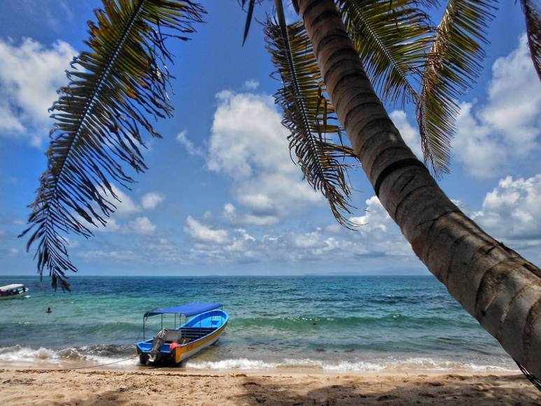 Además, es el lugar perfecto para descansar en una hamaca, con una increíble vista hacia el mar, debajo de las palmeras.
