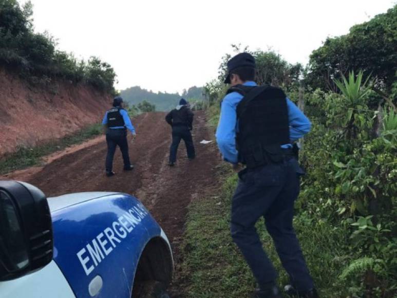 La Policía Nacional acompañó a la fiscalía del ambiente en la realización de operativos de protección forestal para prevenir el transporte ilegal de madera de La Paz.