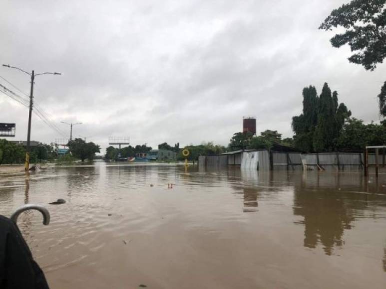 Col. Jerusalen, sector La Lima.