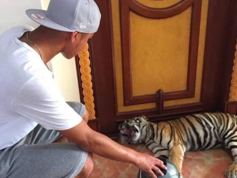 Además, Faiq Bolkiah posee tigres y leopardos como mascotas en su casa.