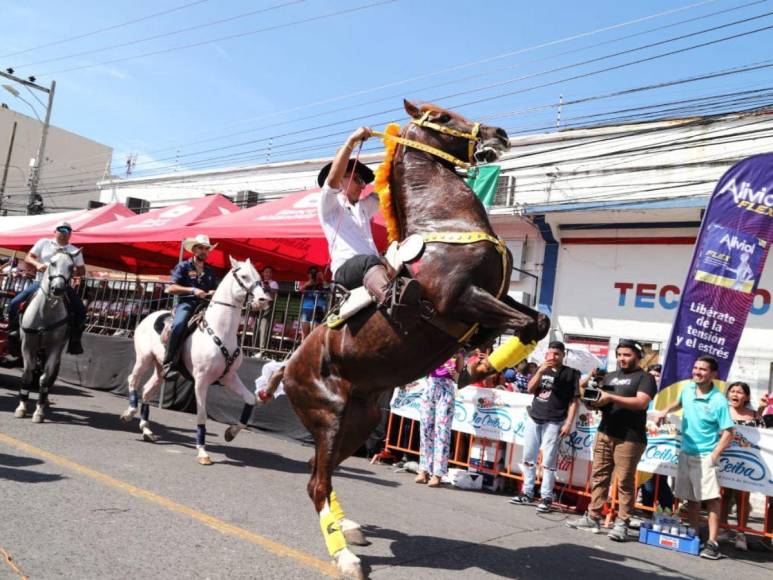 Los jinetes han mostrado su destreza en el desfile hípico en la antesala del Gran Carnaval que será este sábado por la noche.