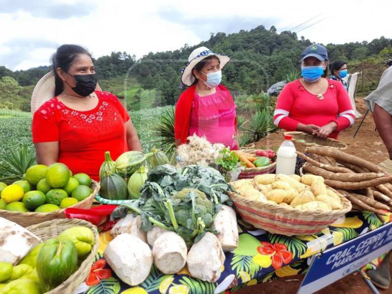 Mujeres hondureñas se empoderan y se suman a labores del campo (Fotos)