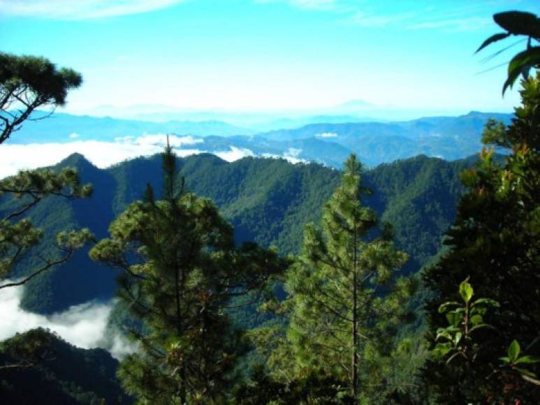 Pico Bonito fue establecido el 1 de enero de 1987 como un parque natural protegido, se encuentra en el municipio de El Porvenir cerca de la ciudad costera de La Ceiba en Honduras. Tiene una altura de 2,435 metros.