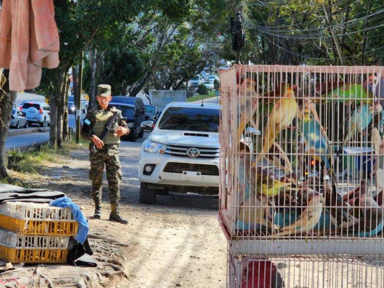 Además, de las multas, las autoridades pueden cerrar establecimientos, suspender actividades comerciales, incautar animales y suspender la personería jurídica de las asociaciones infractoras.