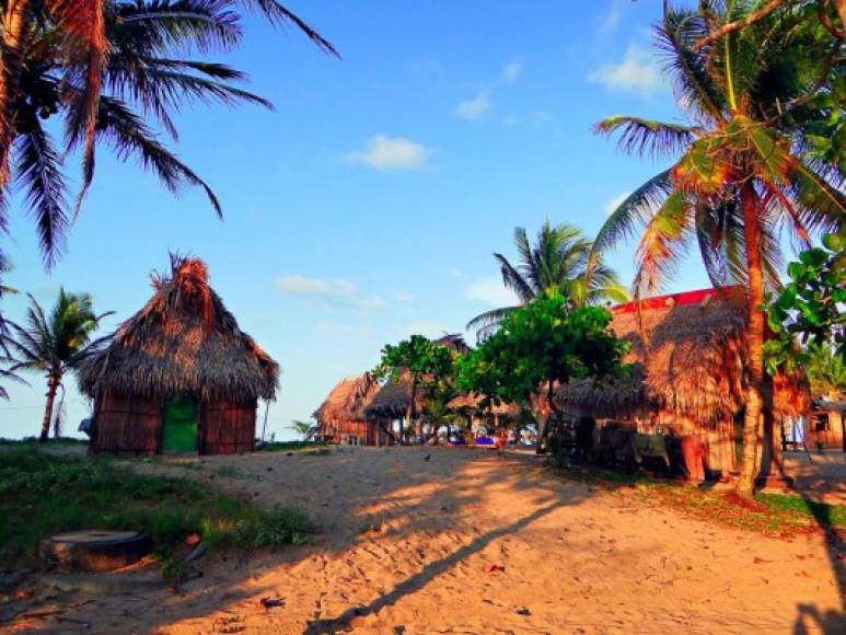 En Honduras también existe un “Miami”, siempre asentada a la orilla de las costas caribeñas, pero con parajes naturales impresionantes y únicos de Honduras, sin el ruido de la ciudad norteamericana. La comunidad garífuna de Miami está ubicada en una orilla de la Laguna Los Micos en Tela