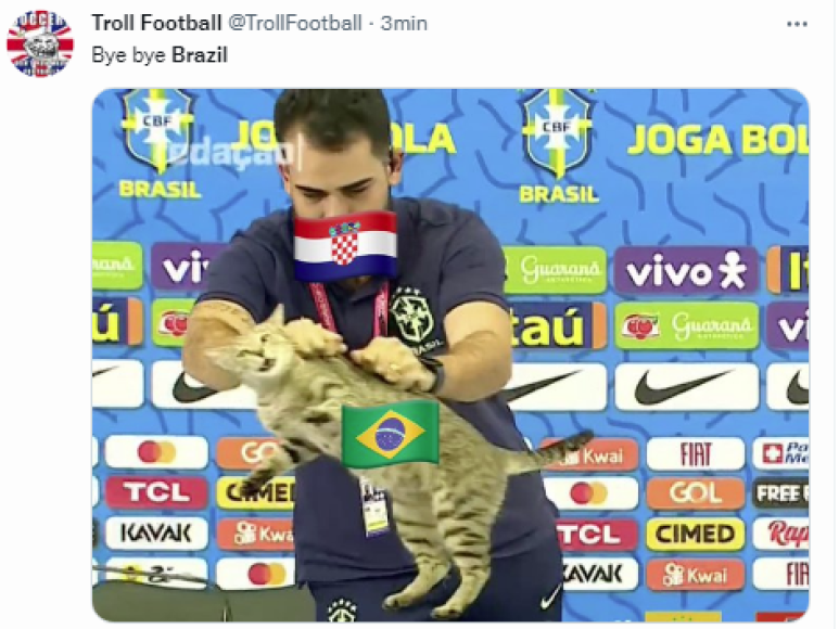 “La maldición del gato”, así denominaron muchos en los memes a la eliminación del Mundial.