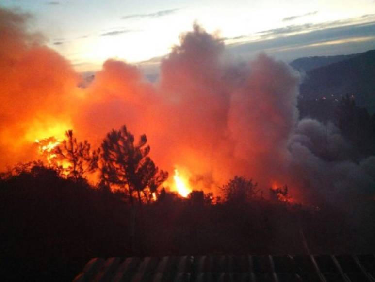 El incendio se extendió en horas de la noche y ha deborado unas 30 hectáreas de bosque de pino.