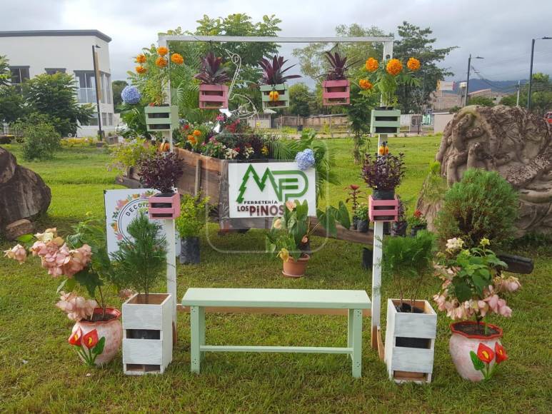 Los visitantes pueden disfrutar, frente al parque, de una bella exposición de flores que se cultivan en la zona.