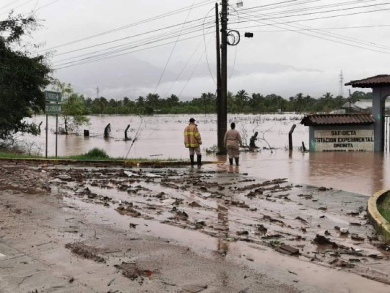 El Progreso continúa recibiendo crecidas del río Ulúa. Se mantiene en alerta.