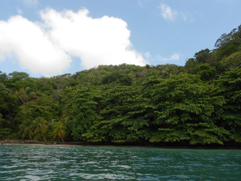 Desde 1995 el parque también es conocido con el nombre de la defensora ambientalista Blanca Jeannette Kawas, porque en 1992 ella logró que lo declararan Parque Nacional.