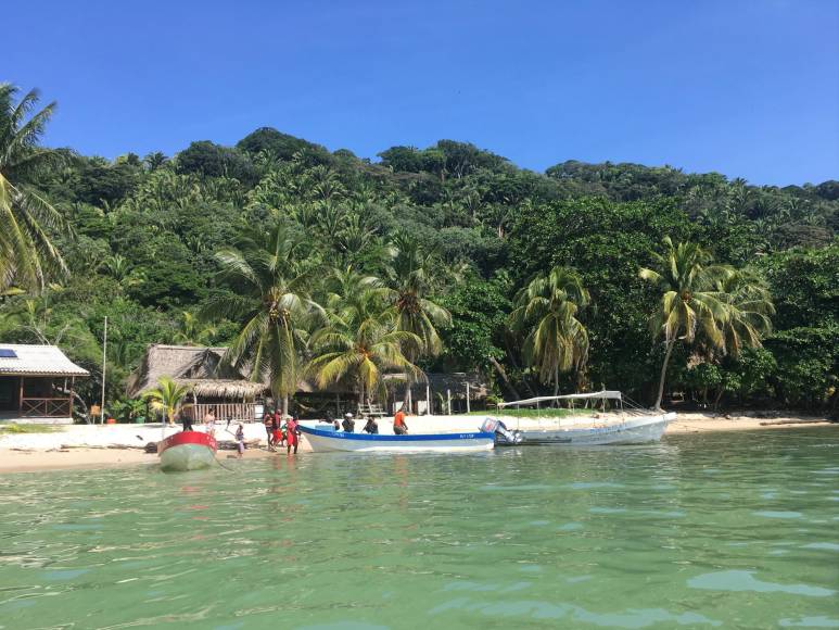 1. El Parque Nacional Jeannette Kawas está ubicado a 15 km al noroeste de la ciudad de Tela, Atlántida y está compuesto por las áreas denominadas Puerto Escondido, Puerto Caribe y Playa Cocalito.