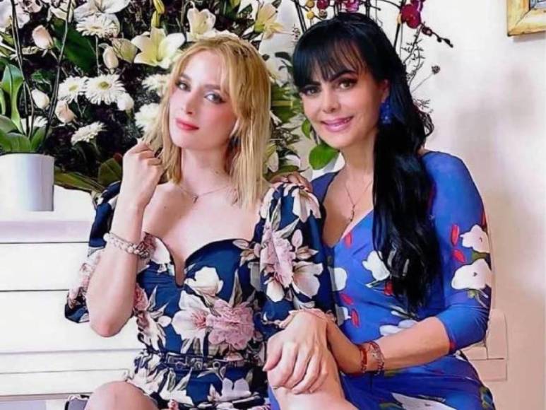 La fotografía publicada por la misma Maribel Guardia ha generado controversia debido a la forma en que los miembros de la familia posan, este acto género que los seguidores de la actriz la criticaran y le dijeran que tomara precaución.