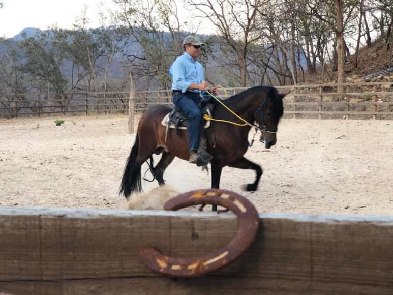 La familia de Hernández aún no se pronuncia al respecto de la subasta de los caballos propiedad del ahora acusado por narcotráfico en Estados Unidos. 