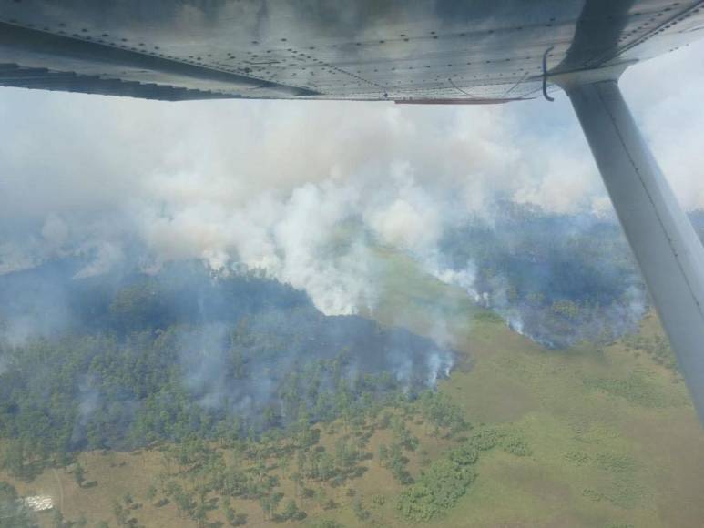Una tragedia ambiental ocurre en la Biosfera del Río Plátano en el departamento de Gracias a Dios donde cientos de héctareas de bosques son consumidas por un incendio en la zona.