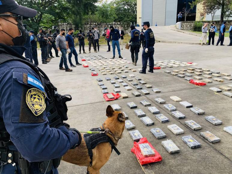 En caletas de una hacienda hallan 120 paquetes de cocaína en Colón