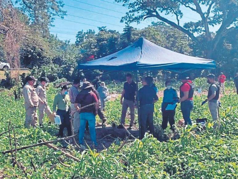 Por el crimen están capturados Santos Omar Mejía Orellana, alias el Gordo; Mirna Yamileth Pérez Ruiz , alias la Bruja, y Telma Carranza (de 63), alias la Vieja, presuntos miembros de la MS-13.