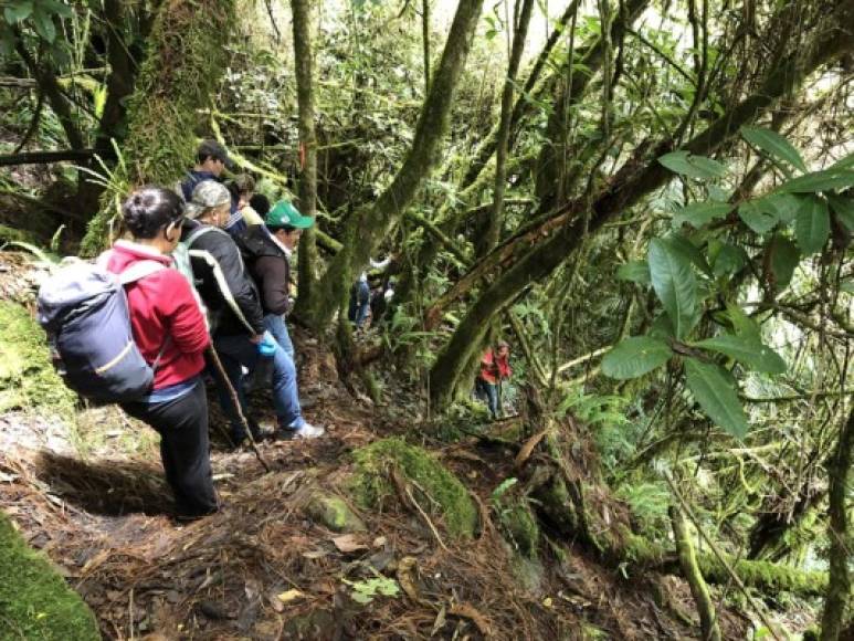 Con energía recargada iniciamos el descenso. Para retornar a Gracias utilizamos la ruta más común y elegida por los turistas, de Las Minas hacia Villa Verde, donde se encuentra otro centro de visitantes.