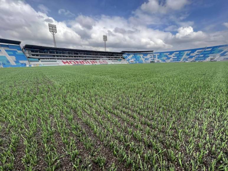 El engramillado sintético del coloso capitalino fue instalado por la empresa TMS Grass, la misma que lo hizo con el estadio Morera Soto de Costa Rica.