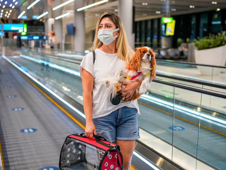 Las líneas aéreas poseen sus propias restricciones, por ello debe recabar información en la que usted ha elegido para viajar.