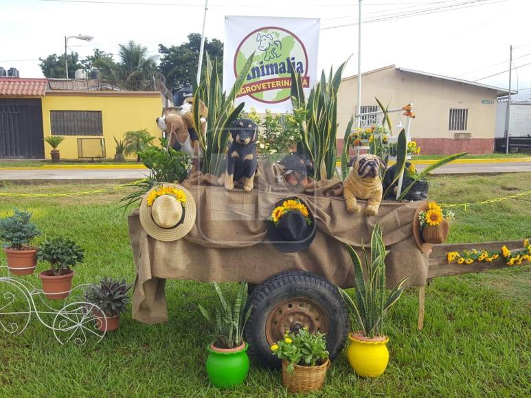 Las carretas fueron adornadas de manera ingeniosa con la flora de este lugar y los turistas han llegado desde temprano para disfrutar del evento.