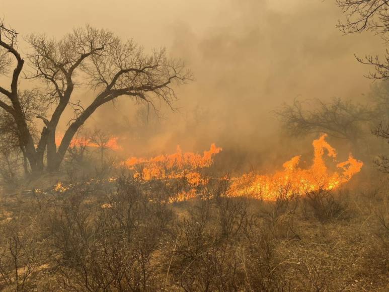Según el Servicio Forestal de Texas A&amp;M, el martes por la noche habían al menos tres incendios forestales activos, peligrosos y descontrolados, en la región de Panhandle, una zona rural del norte del estado.