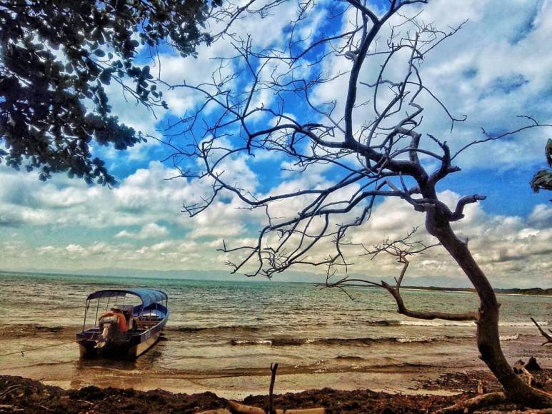  Este camino se dirige al lado occidental, justo a una pequeña playa que, según historiadores, en antaño fue utilizada como refugio de piratas y bucaneros.