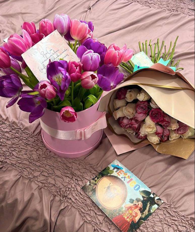 “Nadie es profeta en su propia tierra”, se lee en uno de los comentarios, haciendo referencia al trato que ha recibido Cesia en México. 