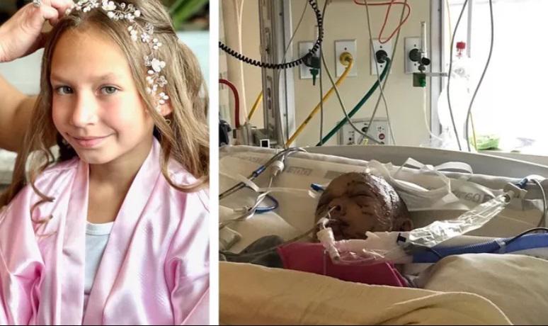 Una niña de 9 años sobrevive al ataque de un puma en Estados Unidos