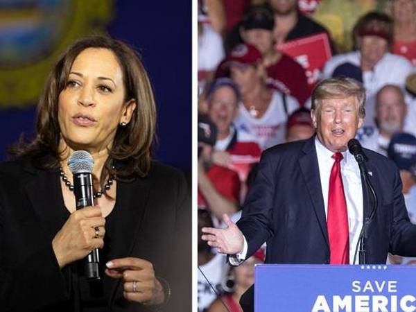 Trump y Kamala centran sus campañas en los siete estados indecisos para las elecciones presidenciales.