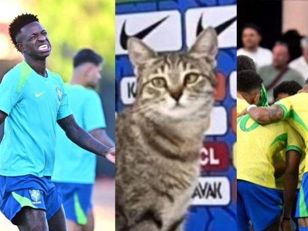 La selección de Brasil volvió a fracasar tras quedar eliminado en cuartos de final de Copa América 2024 y nuevamente ha surgido la “maldición del gato”.¿En qué consiste?