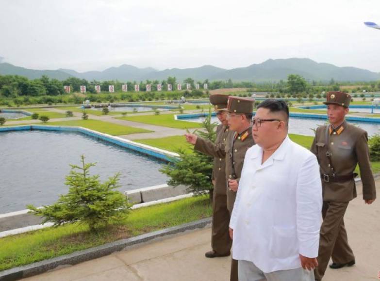Las 'visitas de orientación en el terreno' son el pan nuestro de cada día de la prensa oficial norcoreana, que publica imágenes del líder acompañado de autoridades muy atentas y con libreta en mano.