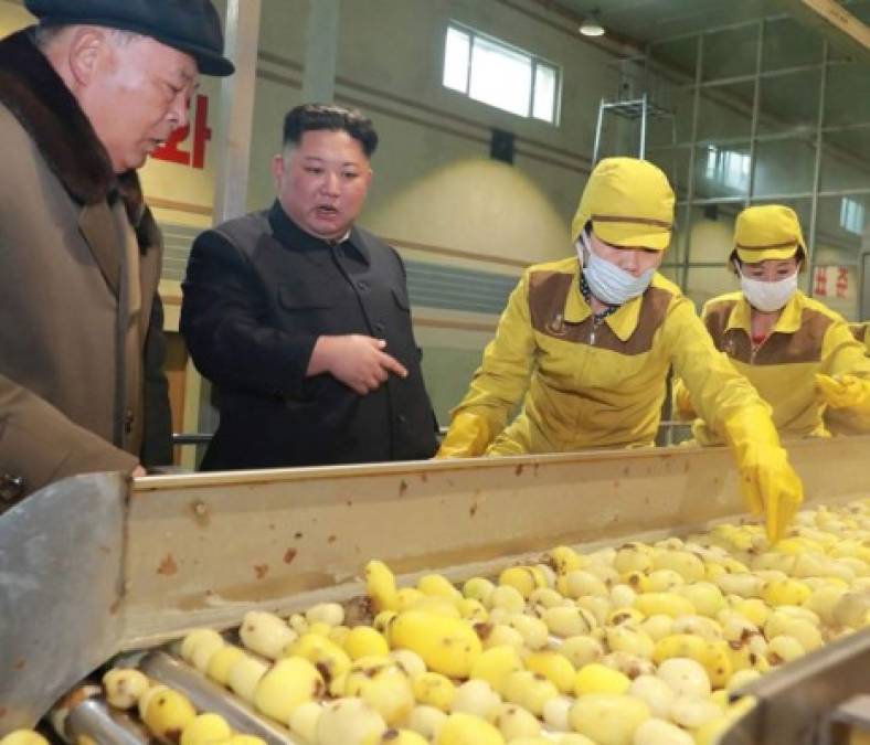 El líder norcoreano también admitió la gravedad de la situación alimentaria de la población al señalar que ésta 'se está volviendo tensa', y se comprometió a tomar medidas concretas para mejorar la seguridad alimentaria del país y para proveer a los niños de alimentos básicos.<br/>