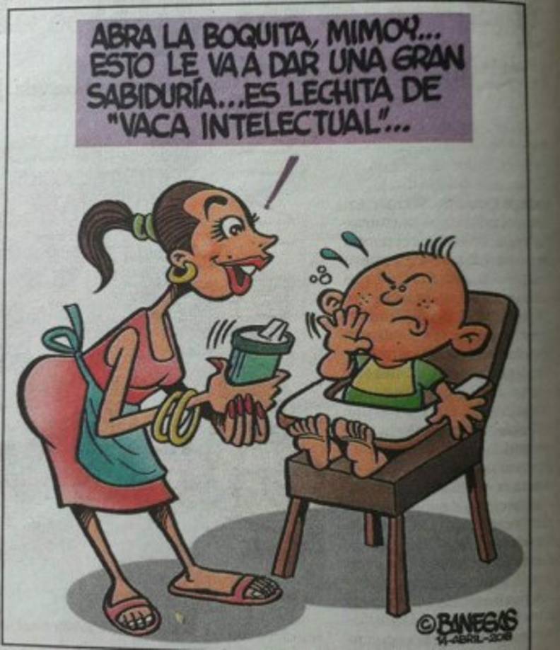 La inusual frase 'vaca intelectual' fue reproducida en cientos de memes en los diferentes medios de comunicación de Honduras y por supuesto material para los creadores de contenidos para redes sociales.