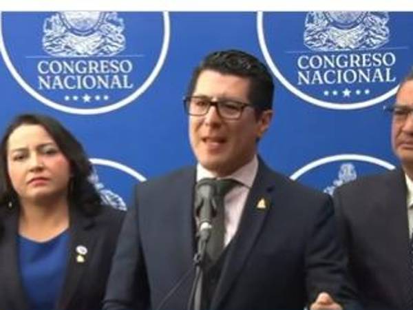 El diputado liberal Francis Cabrera, durante una conferencia en el Congreso.